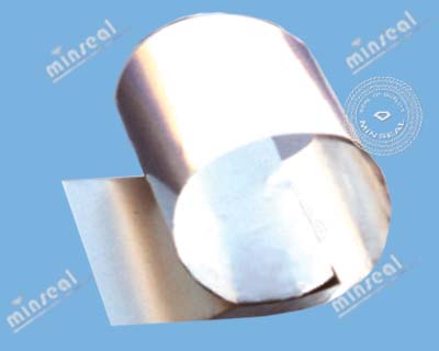 Graphite Laminate Insert: 316SS Foil Graphite Laminate Insert: 316SS Foil